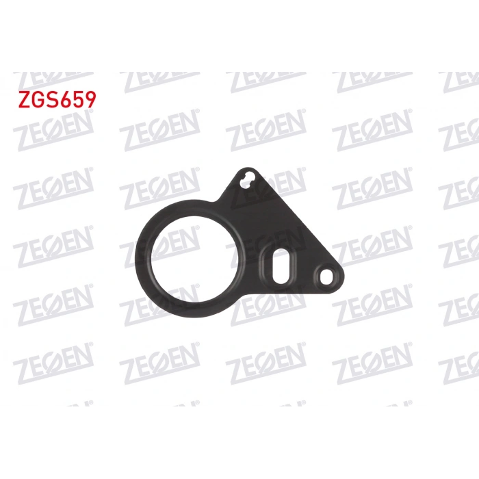 MAZOT POMPA CONTASI 308 / 3008 / 508 / 5008 / BOXER / EXPERT / C4 / C5 / JUMPER / JUMPY / VIVARO / PROACE 2.0 HDI / C-MAX / MONDEO 2.0 TDCI