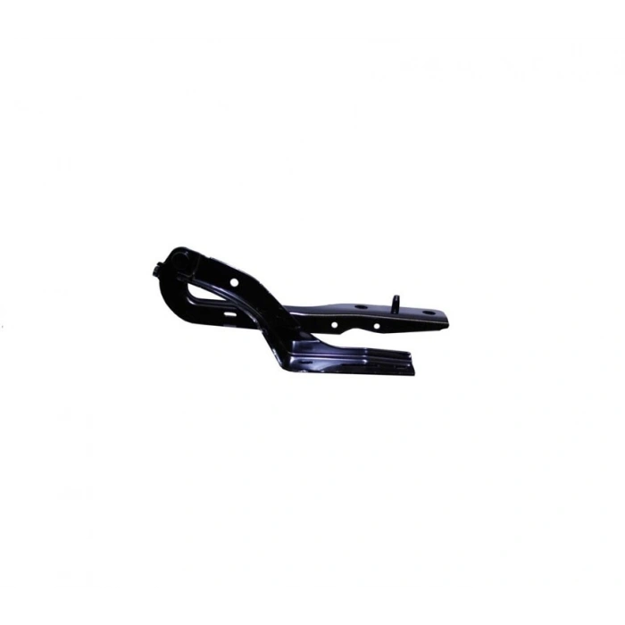 MOTOR KAPUT MENTEŞESİ SAĞ PG 307 2001-
