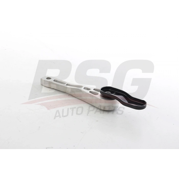 MOTOR TAKOZU ORTA SHARAN-TIGUAN BM 10-