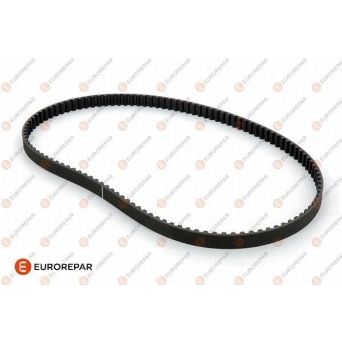 MQPTRIGERKAYISI 97-00