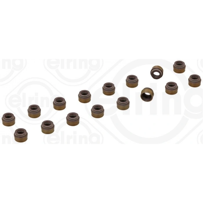 ON KRANK KEÇE SPRINTER