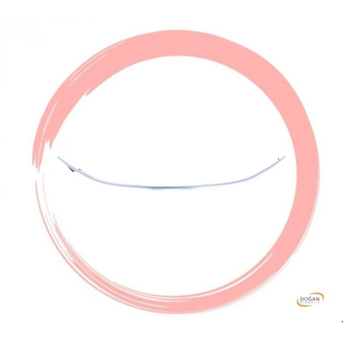 ÖN PANJUR KUŞAĞI ALT KROM EGEA 2021-