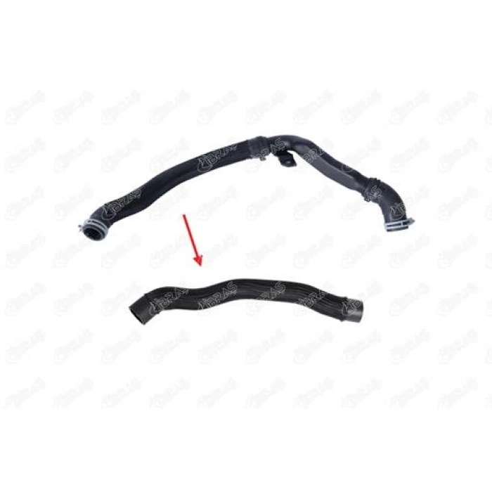 RADYATÖR HORTUMU ALT BÜYÜK TRANSIT V-362 2.0 ECOBLUE 17-