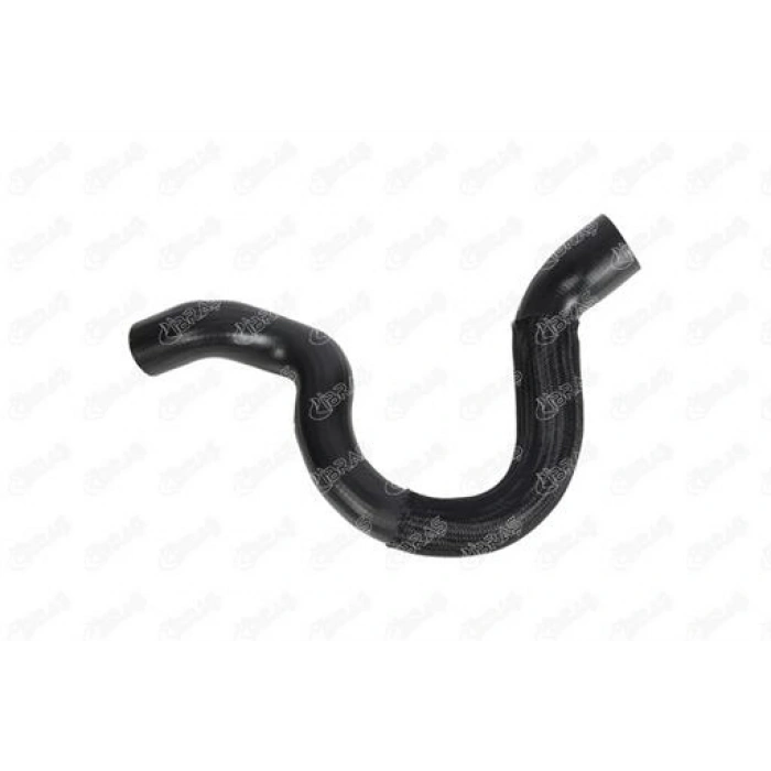 RADYATÖR HORTUMU ALT CLIO I EXPRESS RAPID 1.2 1.4 91-