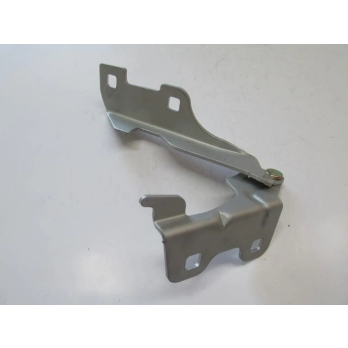 RENAULT CLIO- 2- SD/HB- 02/08; KAPUT MENTEŞESİ SAĞ (EAGLE BODY)