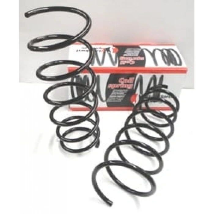 RENAULT R19- EUROPA- 92/01; ÖN HELEZON YAYI SAĞ/SOL (2Lİ SET) (12,75X161) (STDR)