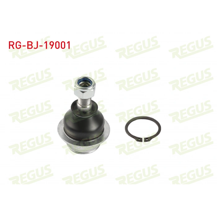 ROTIL ON ALT FORD FORD TRANSIT (V184, V347) 2000-2014 / FORD TRANSIT CONNECT 2002-2013