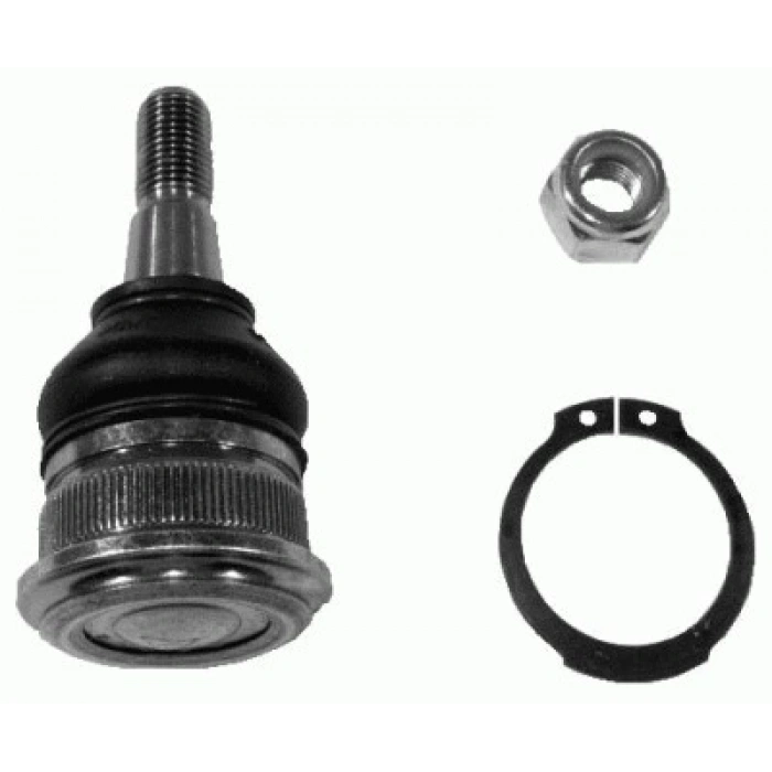 SALINCAK ALT SAG C1 B.M 05-