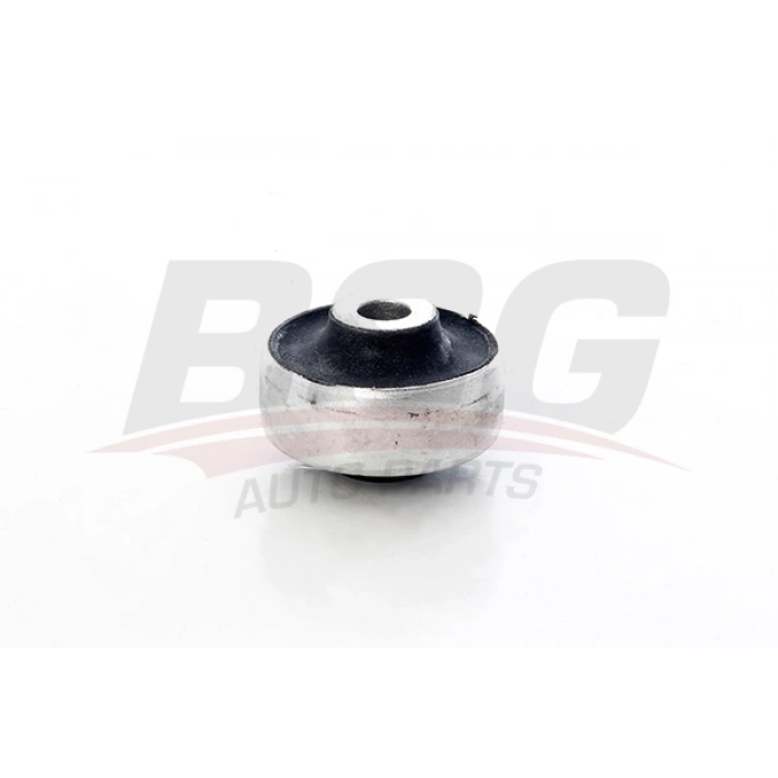 SALINCAK BURCU 27132 01 BEETLE-TT BM 00-06