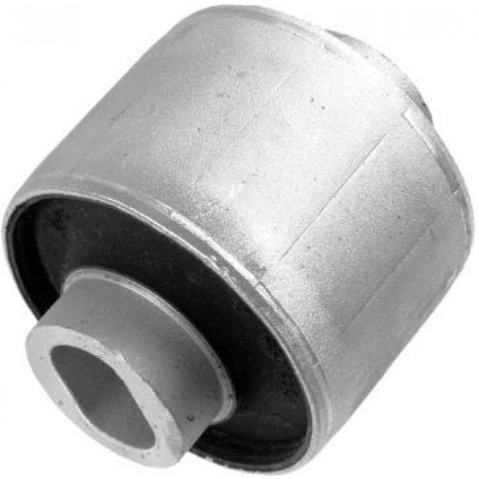 SALINCAK BURCU MERCEDES S W220 C215 R1