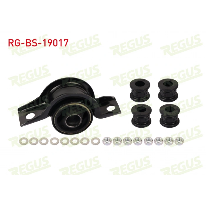 SALINCAK BURCU FORD FOCUS BUYUK