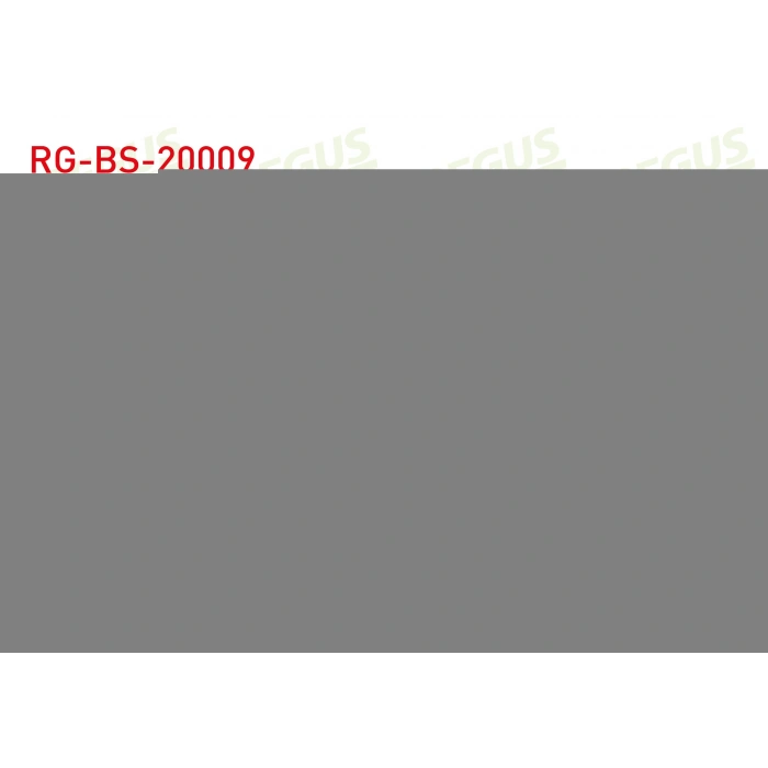 UST SALINCAK BURCU HONDA ACCORD