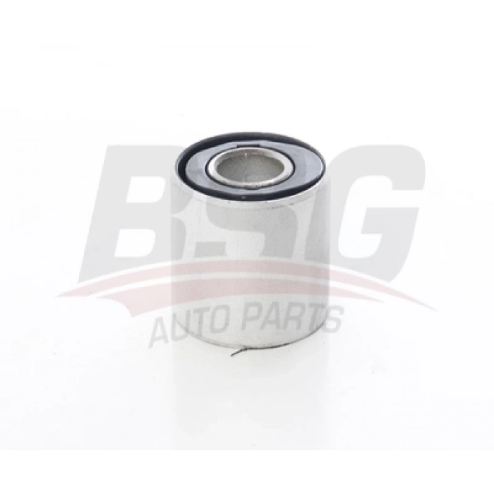SALINCAK BURCU W164 BM 06-