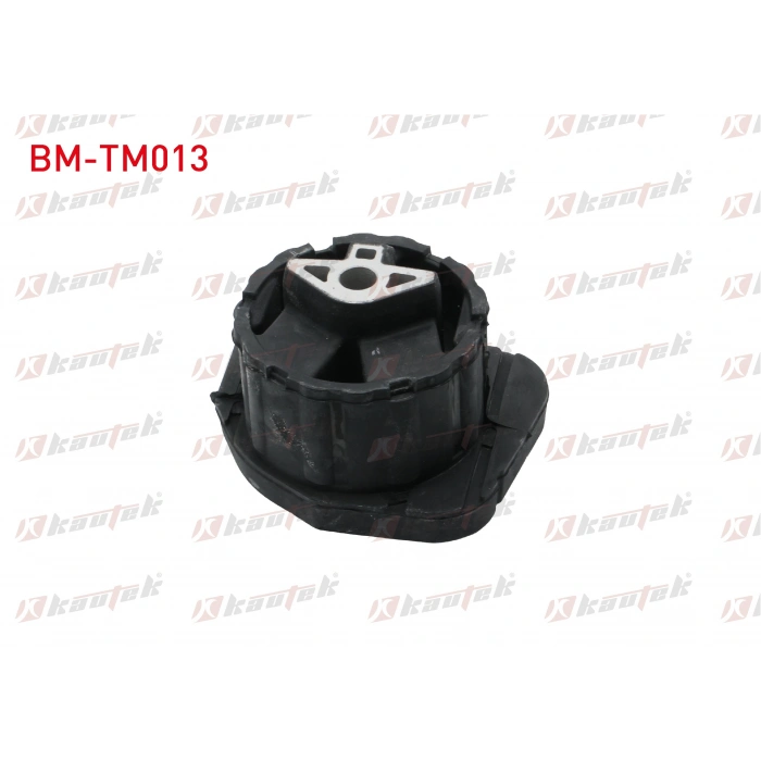 SANZIMAN TAKOZU ON BMW X5 (E70) 3.0 D 2007-2012