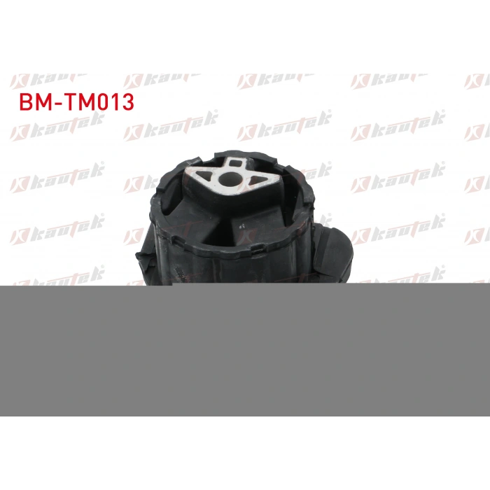 SANZIMAN TAKOZU ON BMW X5 (E70) 3.0 D 2007-2012