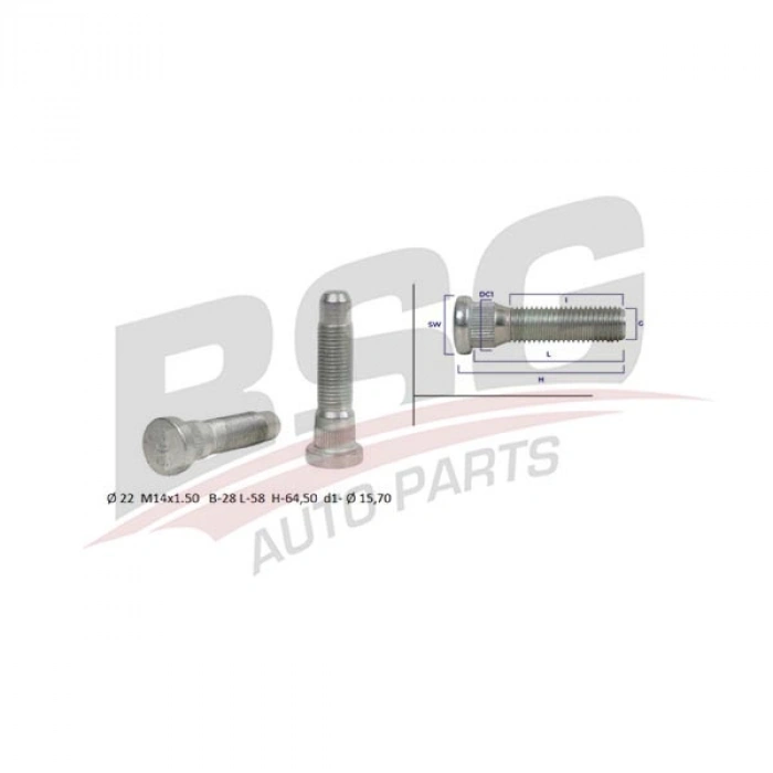 SAPLAMA INSIGNIA A-B BM 09-