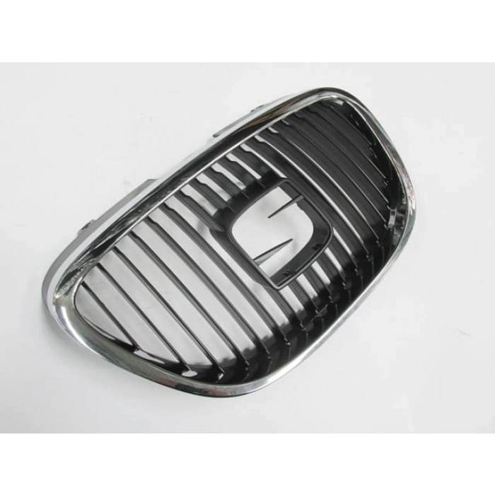 SEAT LEON- 05/09; ÖN PANJUR SİYAH (NİKELAJ ÇERÇEVELİ) (TÜV)(TYG)