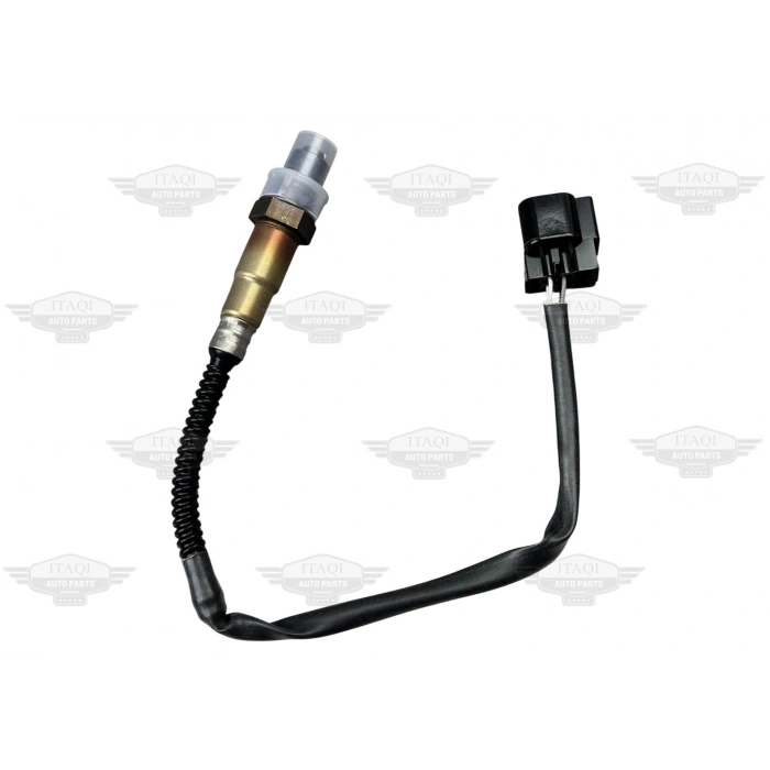 SENSÖR OKSİJEN ACCENT ERA 06-11 (UZUN KABLOLU)