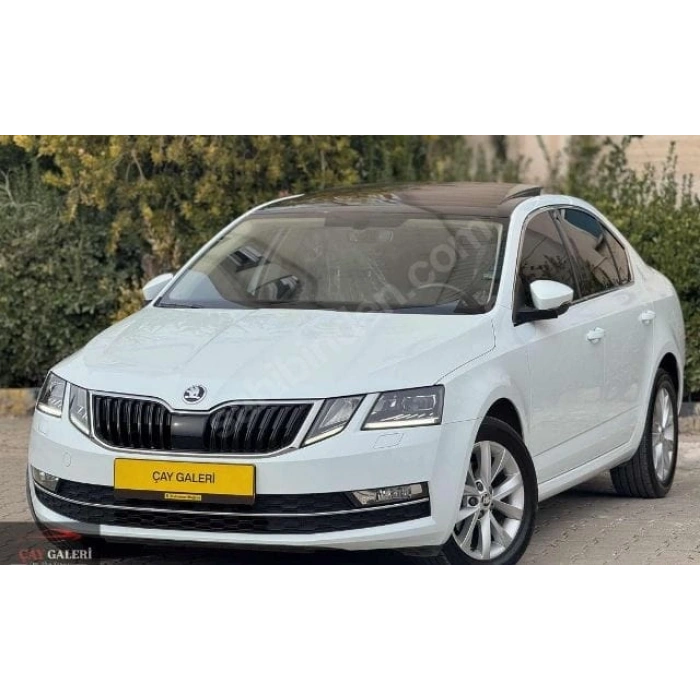 SKODA OCTAVIA- 17/19; ARAÇ BİLGİLERİ VE RESİMLERİ