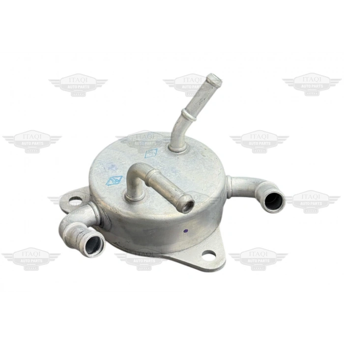 SOĞUTUCU YAĞ CIVIC 06-15 (ŞANZIMAN)