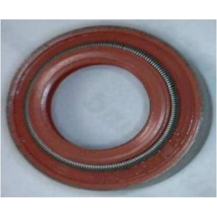 SUPAP LASTIGI 10,0-13,60/17,30X9,50 IVECO-DAILY III BM 04-
