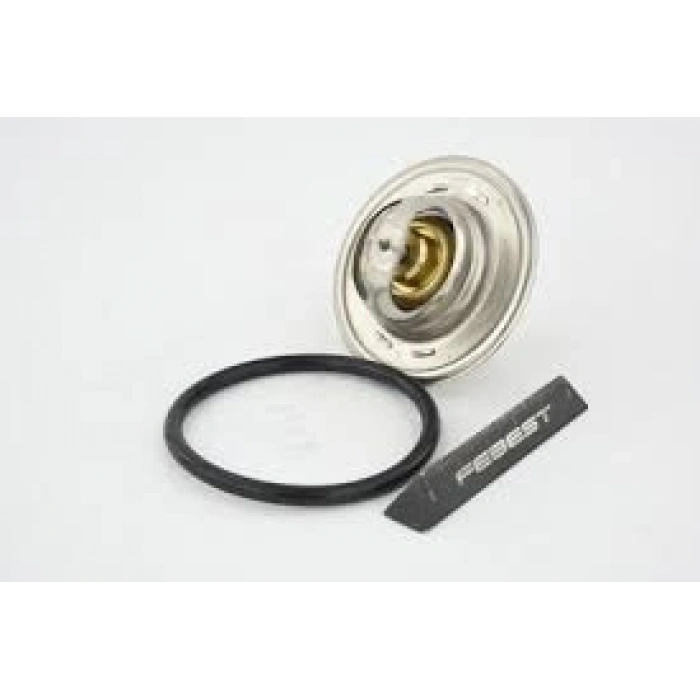 TERMOSTAT