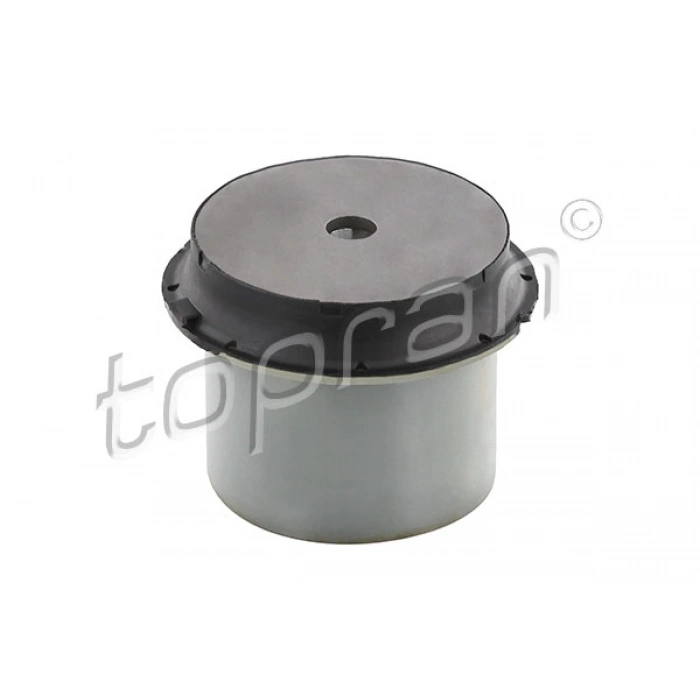 TRAVERS BURCU SKODA UP CITIGO 11 >