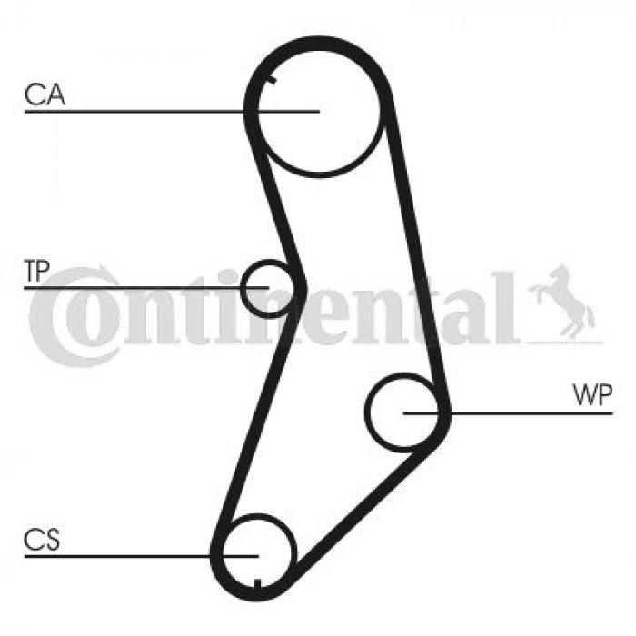 TRİGER EKSANTRİK KAYIŞI