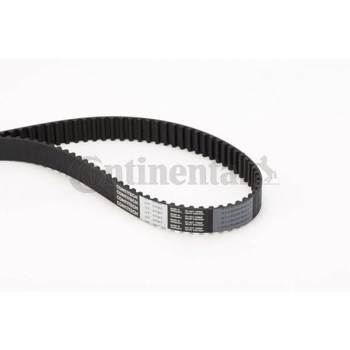 TRİGER EKSANTRİK KAYIŞI 116×254 SCUDO JUMPY C4 PICAS C5 CMAX FOCUS III MOND-SM AX 308 407 EXPRESS 2.0 HDI 10