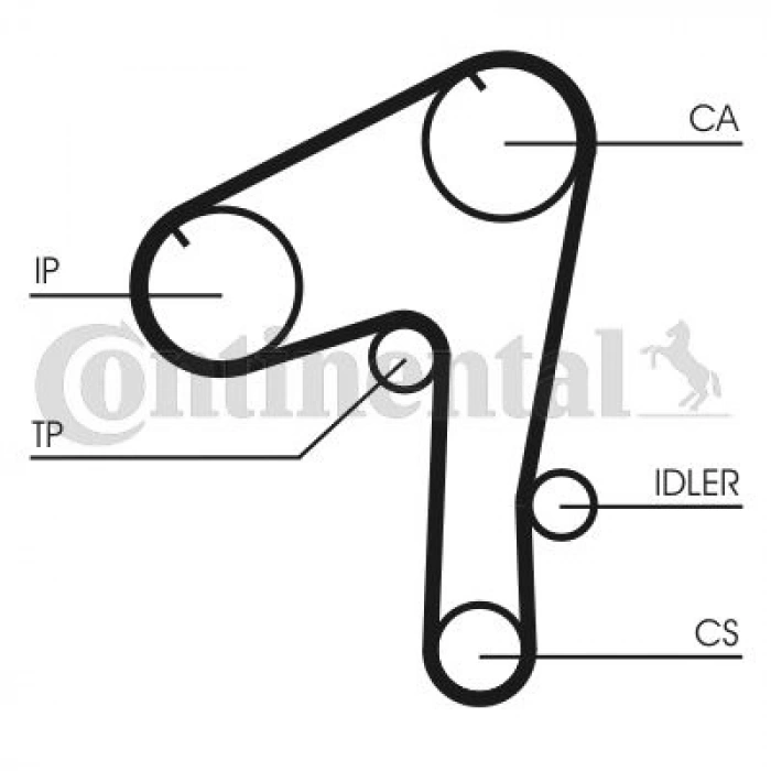 TRİGER EKSANTRİK KAYIŞI 145×300 LEYLAND 2.3D 8V 9601 NISSAN 2.3D 8V 9601 5470XS