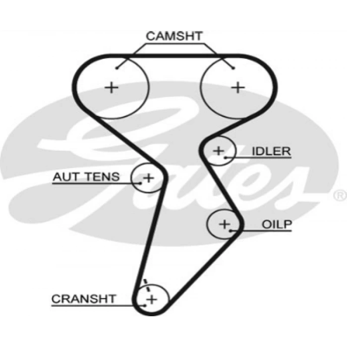 TRIGER KAYISI 158RHPN254H PALIO/MAREA 1.6 16V 98-