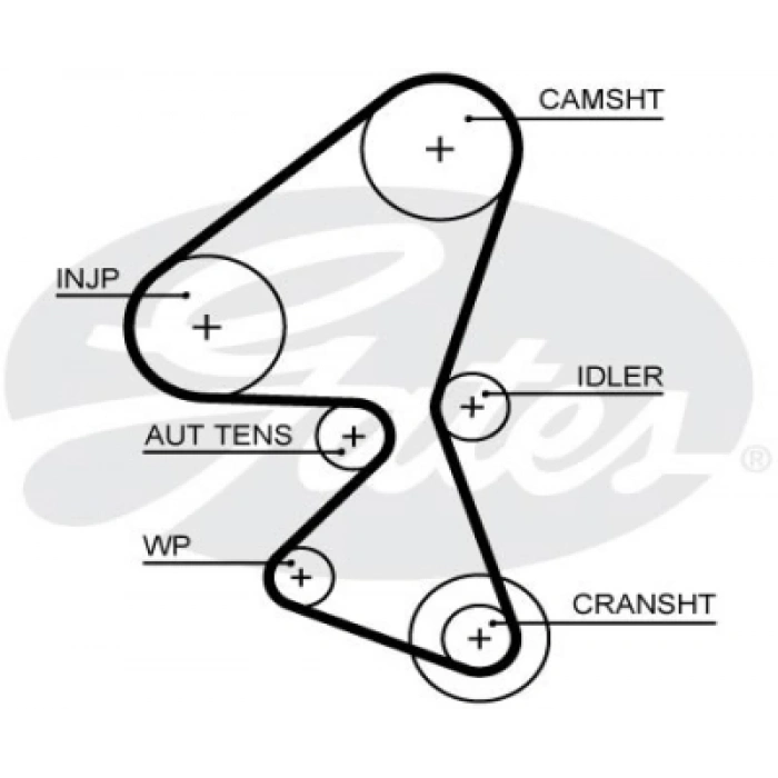 TRIGER KAYISI (3646452) / (141 DIS GENISLIK 20 MM) FOCUS/C-MAX/FIESTA/COURIER/308/3008/BERLINGO/CROSSLAND/GRANDLAND 1,5 EURO 6 DIZEL DV5FD 15-
