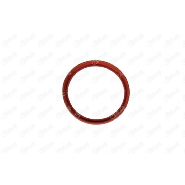 TURBO CONTASI ORING CONTA FLUENCE/MEGAN III 1.5 DCI 07-