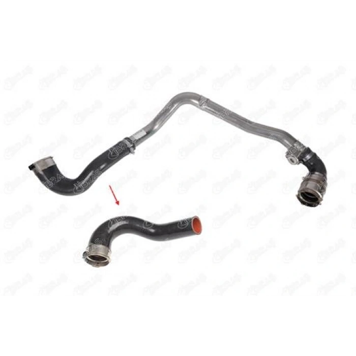 TURBO HORTUMU BÜYÜK OLAN MASTER III MOVANO B 2,3 DCI 10-