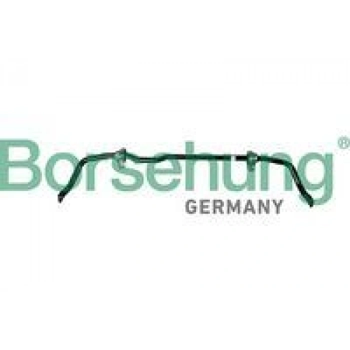 VİRAJ DEMİRİ ÖN KOMPLE SET (VİRAJ LASTİKLERİ İLE BERABER) 25 MM PASSAT 2015 AUDI Q3 20182021 /SEAT TARRACO SKODA KODIAQ 2016 2020 SUPER B 2015 2025 PASSAT ARTEON 2017 2022 TIGUAN 2017