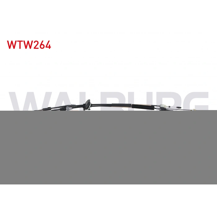 VITES TELI CITROEN C4 PICASSO 1.6 THP - 1.6 HDI 6 M-T (ML6C) 2006-2013