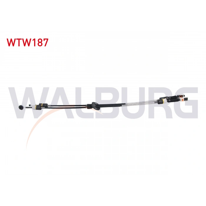 VITES TELI FORD FOCUS I 1.6i 16v - 1.8 TDCI - 2.0i 16v 5 VITES MTX75 1998-2004