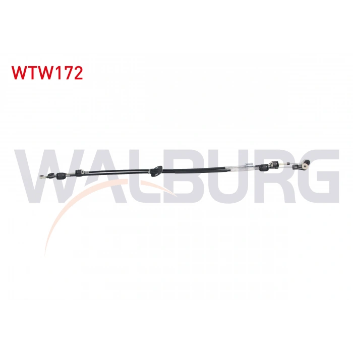 VITES TELI FORD FOCUS III 1.6 EcoBoost 2011-2015 / C-MAX II 1.5 EcoBoost 2010-