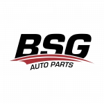 BSG
