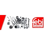 FEBİ