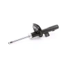 AMORTISOR ON SAG CITROEN BERLINGO (02-08) / PEUGEOT 206 (98-), PARTNER (02-08) DJ PARTS DS1379GS (T1)