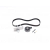 TRIGER SETI (150 DIS) VW PASSAT AUDI A4 A6 1.8T 2.0 AWT ALT 01 > INA 5300546100 (T1)