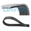 KANALLI KAYIS A3 GOLF V CADDY III PASSAT  DAYCO 6PK1050 (T1)
