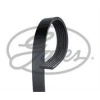 KANALLI KAYIS CADDYII GOLFII GOLF V PASSAT PEUGEOT 306 406 CITROEN XSARA AUDI BMW MITSUBISHI NISS