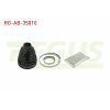 AKS KORUGU DIS KIT CLIO III / LAGUNA III / DUSTER