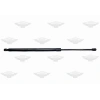 AMORTİSÖR BAGAJ CRV 07-11 LH/RH