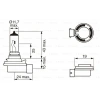 AMPÜL H8 ( 12V/51W)HB4 UNIVERSAL BM 97-