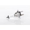 AMPUL TK 12V H7 55W *PX26d* PURE LIGHT