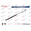 BAGAJ AMORTISORU 450mm/385N RENAULT CLIO III (BR0/1,CR0/1) 2005-2012