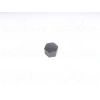 BIJON KAPAGI SKODA OCTAVIA FABIA ROOMSTER 04 >